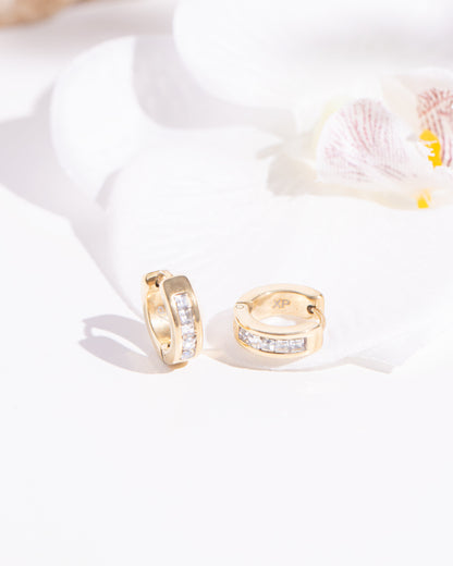 Terra Hoop Earrings